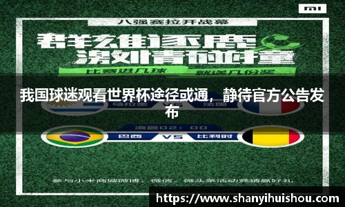 我国球迷观看世界杯途径或通，静待官方公告发布